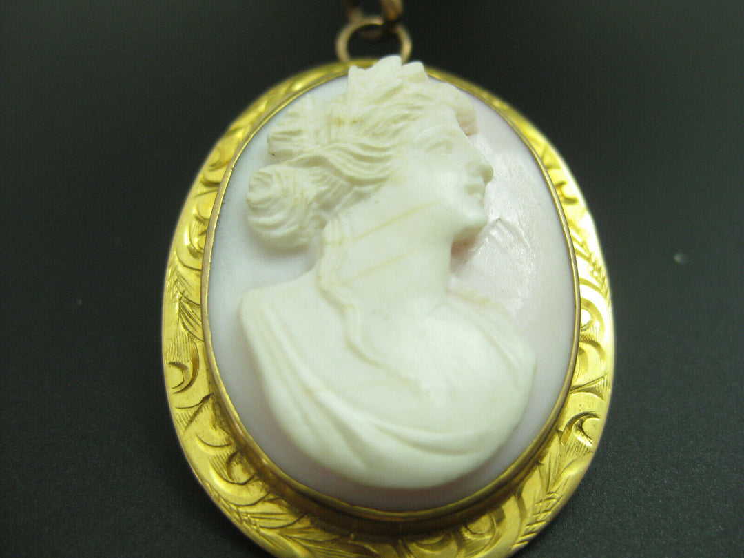 g269 Beautiful Vintage 10kt Yellow Gold Cameo Necklace/Pin on a Delicate Gold Chain