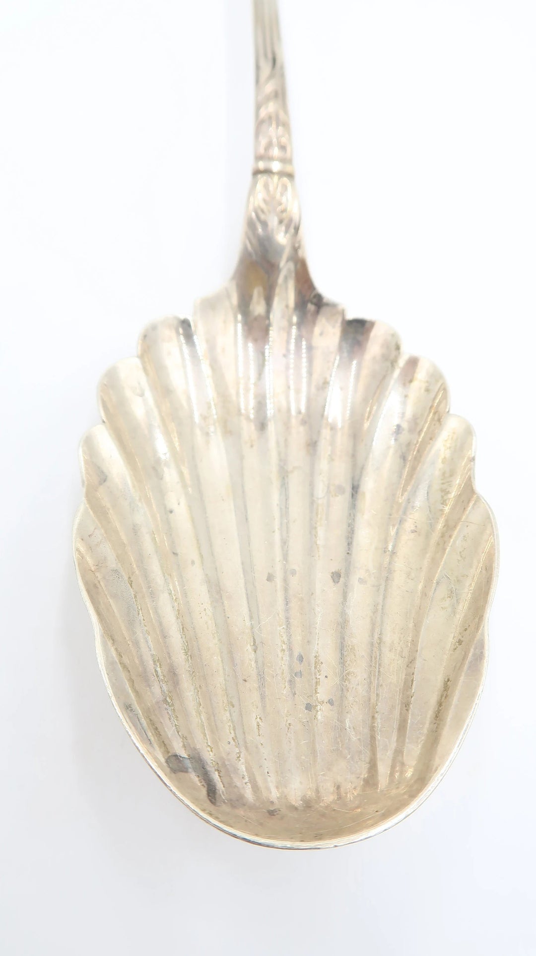 t449 Trajan 1892 Pattern by Reed & Barton Sterling Silver Spoon Dated 1902 141g