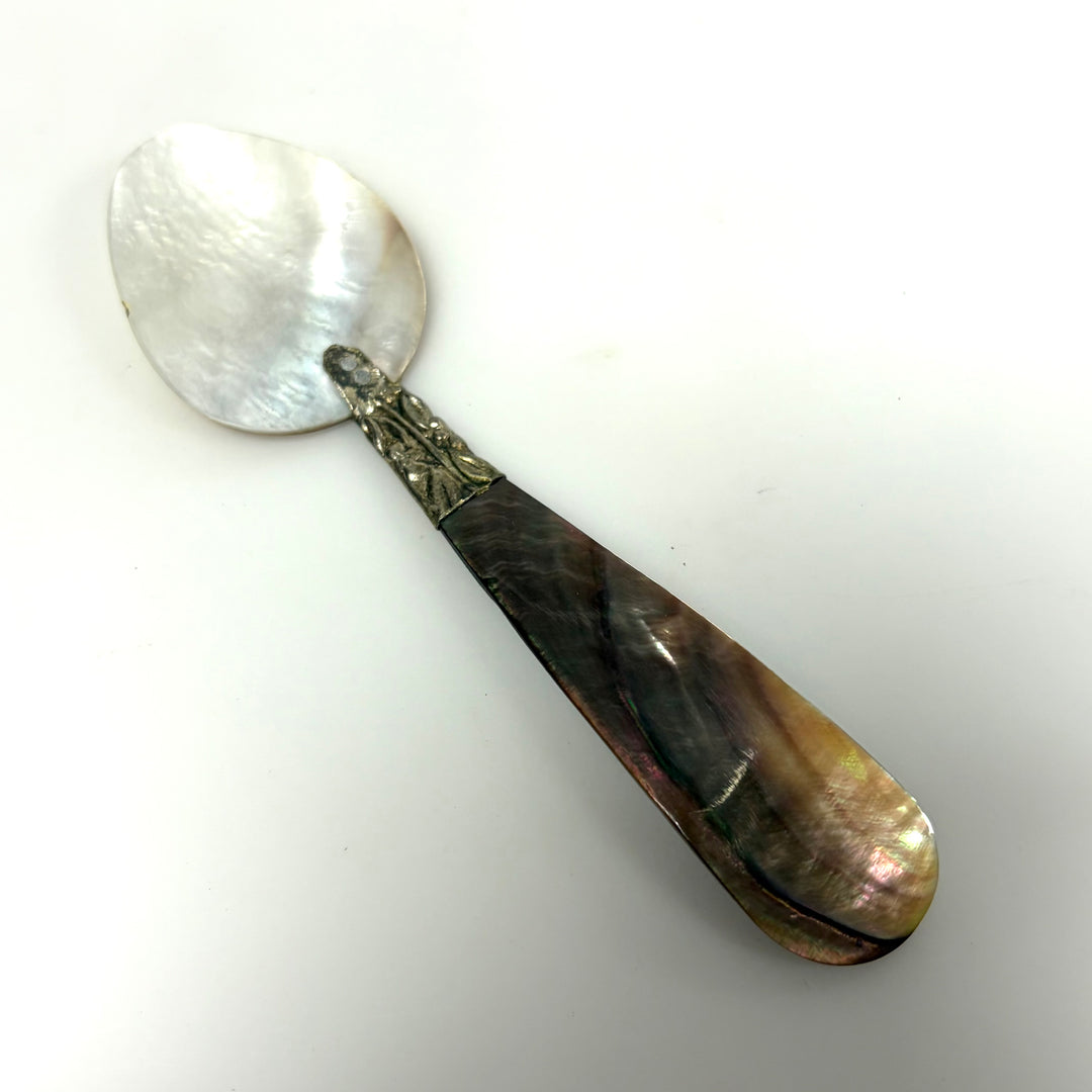 m927 Vintage Mother-of-pearl Caviar Serving Spoon Whelk Shell Handle