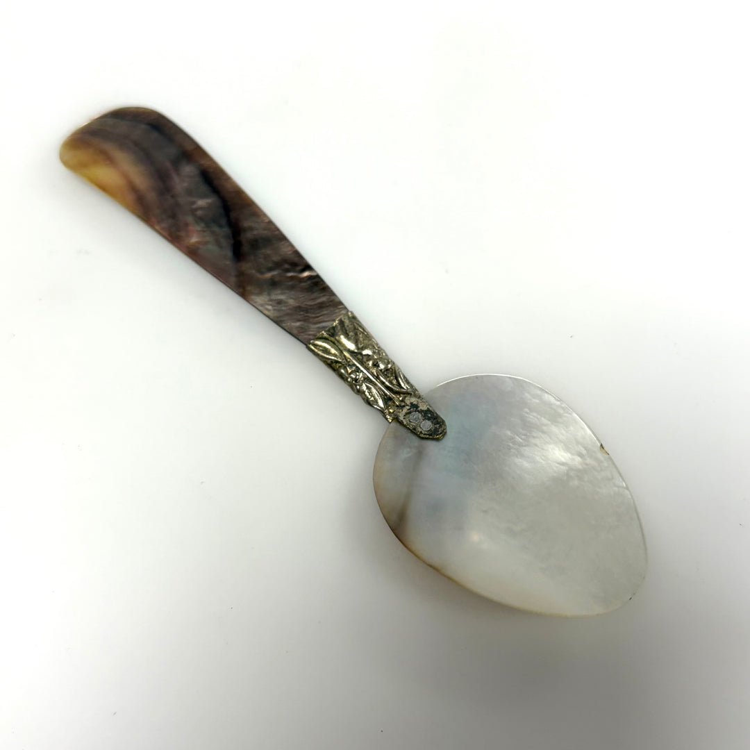 m927 Vintage Mother-of-pearl Caviar Serving Spoon Whelk Shell Handle