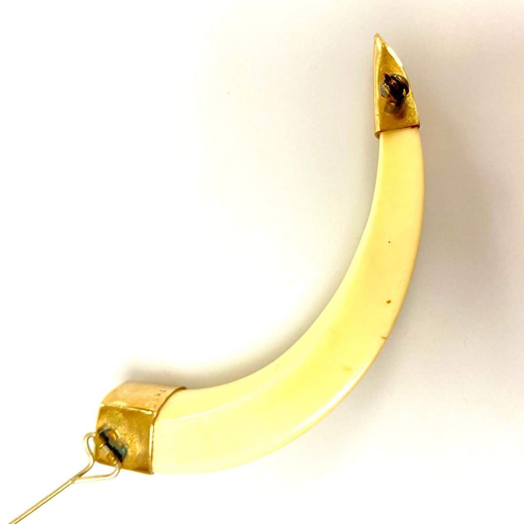 u752 Vintage One of a Kind Tooth Framed in 10K Yellow Gold Brooch Pin