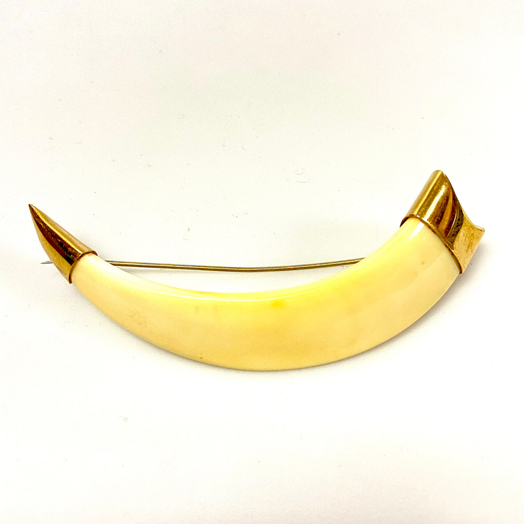 u752 Vintage One of a Kind Tooth Framed in 10K Yellow Gold Brooch Pin
