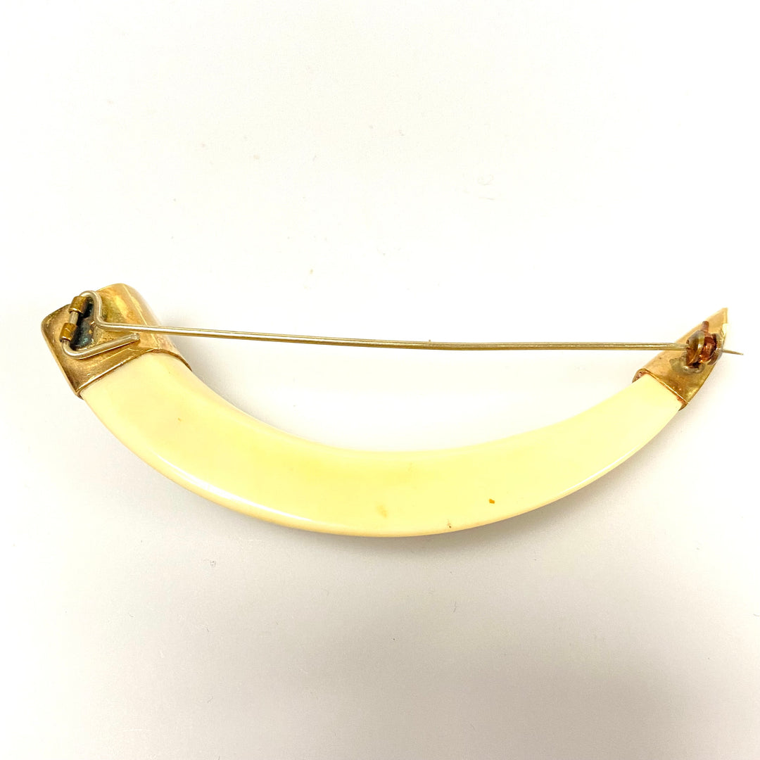 u752 Vintage One of a Kind Tooth Framed in 10K Yellow Gold Brooch Pin