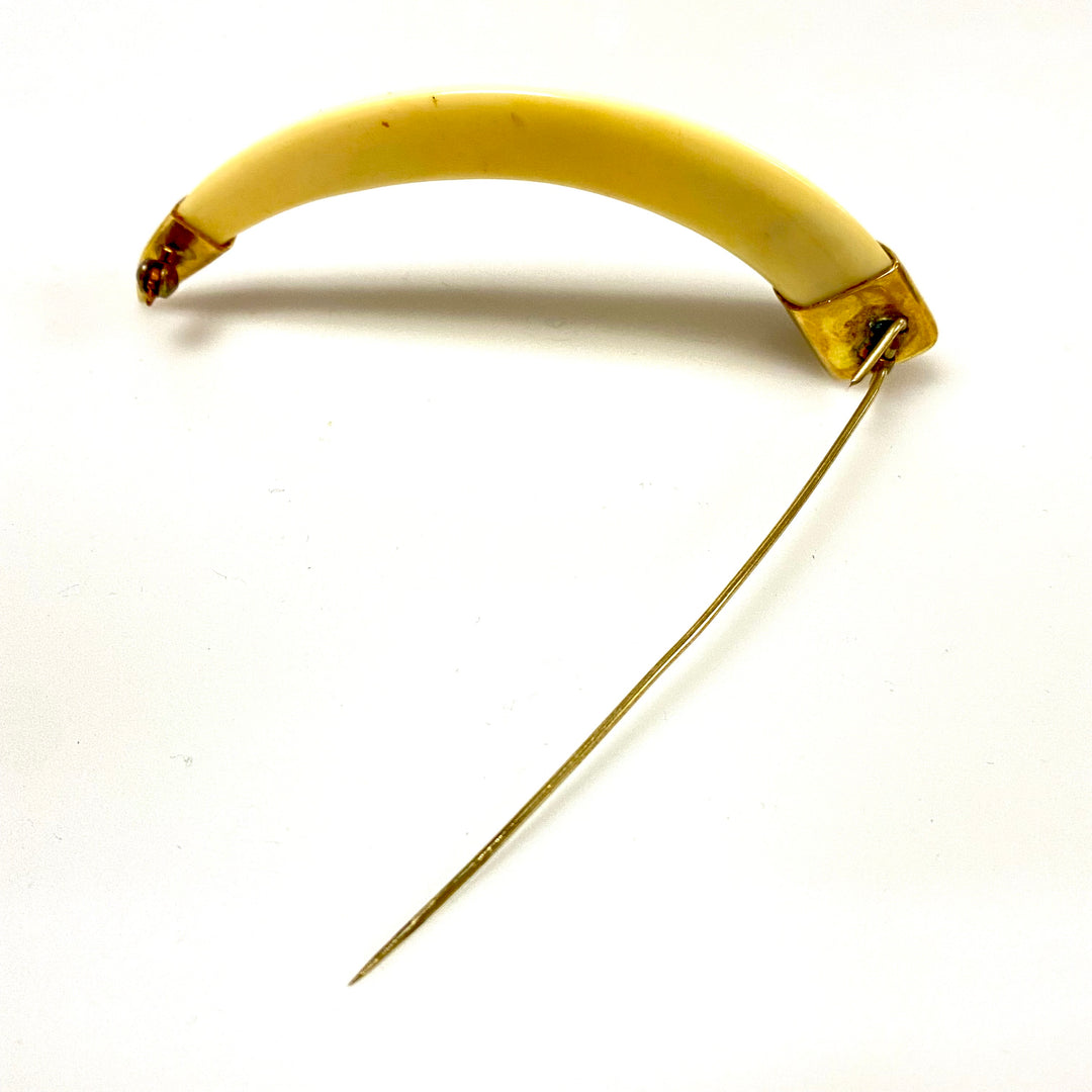 u752 Vintage One of a Kind Tooth Framed in 10K Yellow Gold Brooch Pin