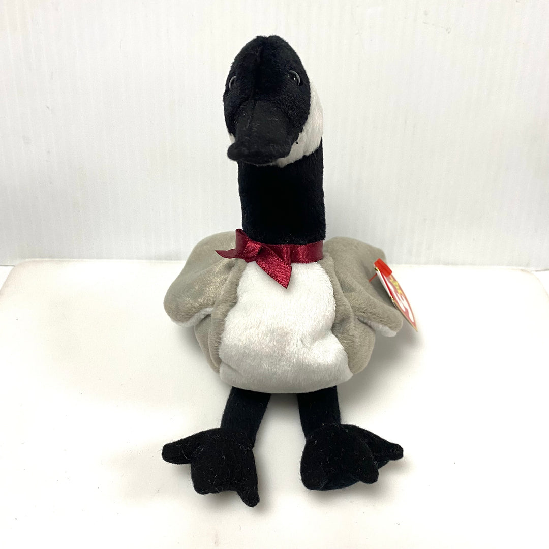 v855 Vintage Ty Beanie Baby "Loosy" the Canadian Goose Collectible Toy 1998 NWT