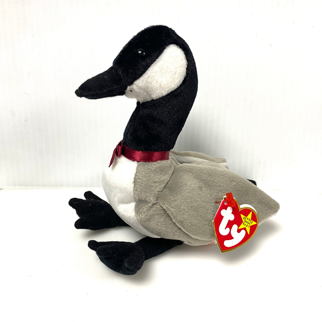 v855 Vintage Ty Beanie Baby "Loosy" the Canadian Goose Collectible Toy 1998 NWT