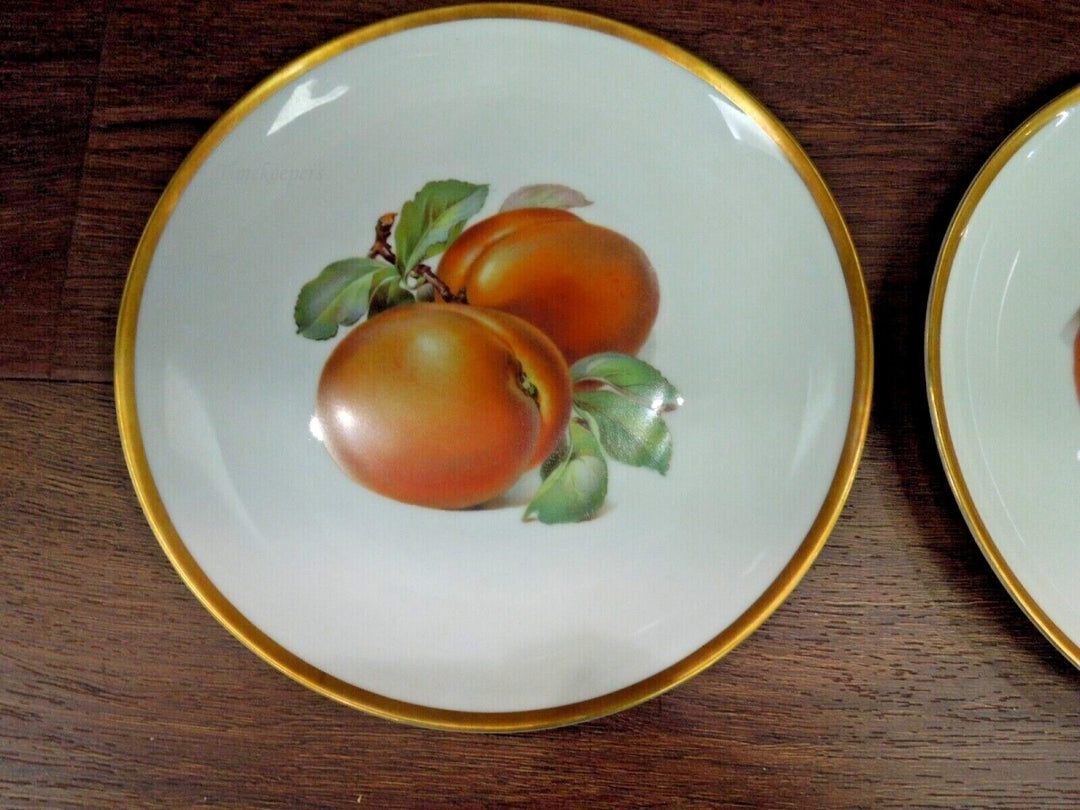 r254 Vtg Hutschenreuther Bavaria Germany 8" Plate Peach Branch White Flower Blossoms