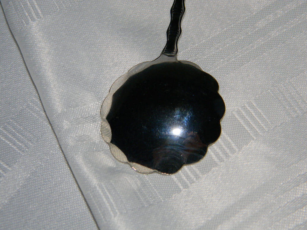 j675 Nice Preowned Stainless Steel Collector Spoon from New Hampshire