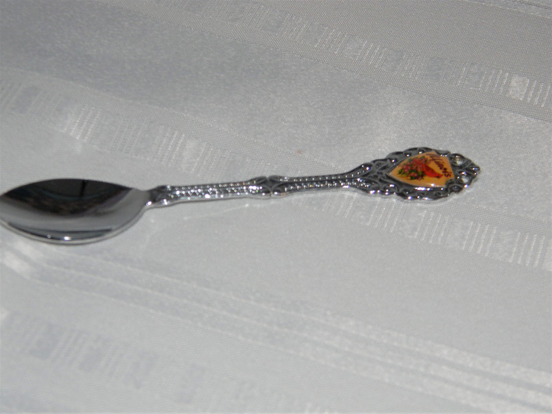 j692 Preowned Stainless Steel Collector Spoon from Illinois with Cardinal