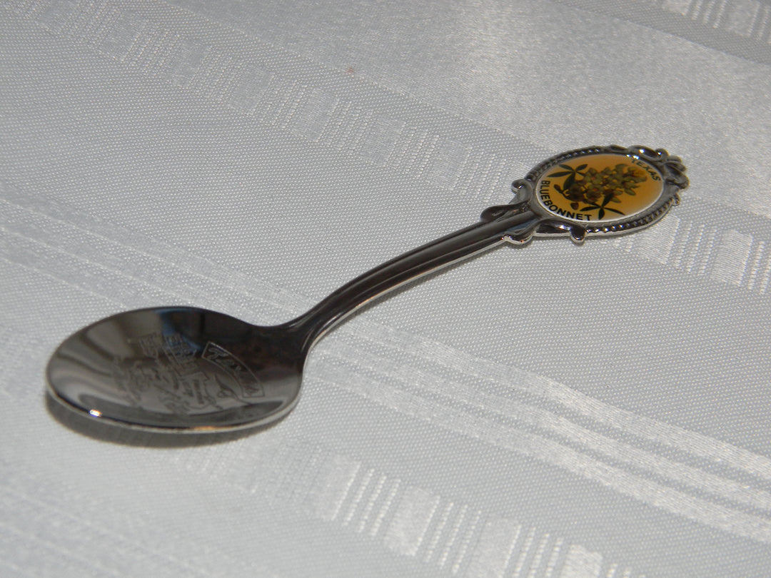 j695 Preowned Stainless Steel Collector Spoon from Texas -Blue Bonnet