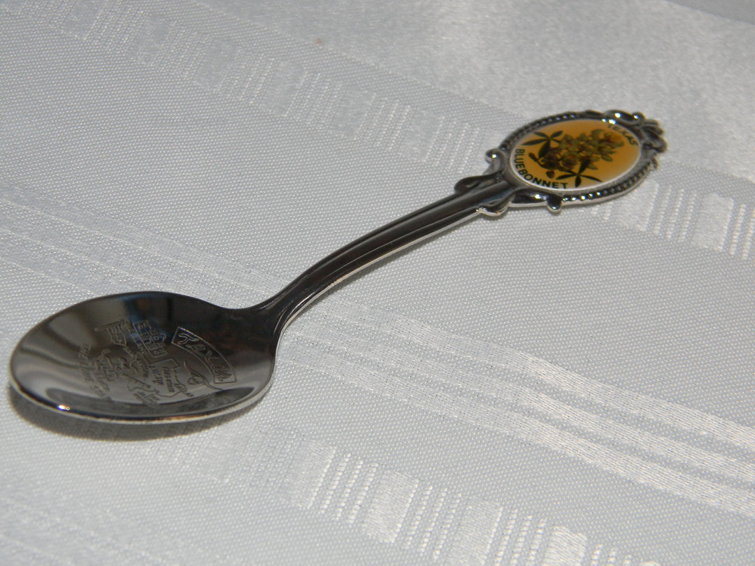 j695 Preowned Stainless Steel Collector Spoon from Texas -Blue Bonnet