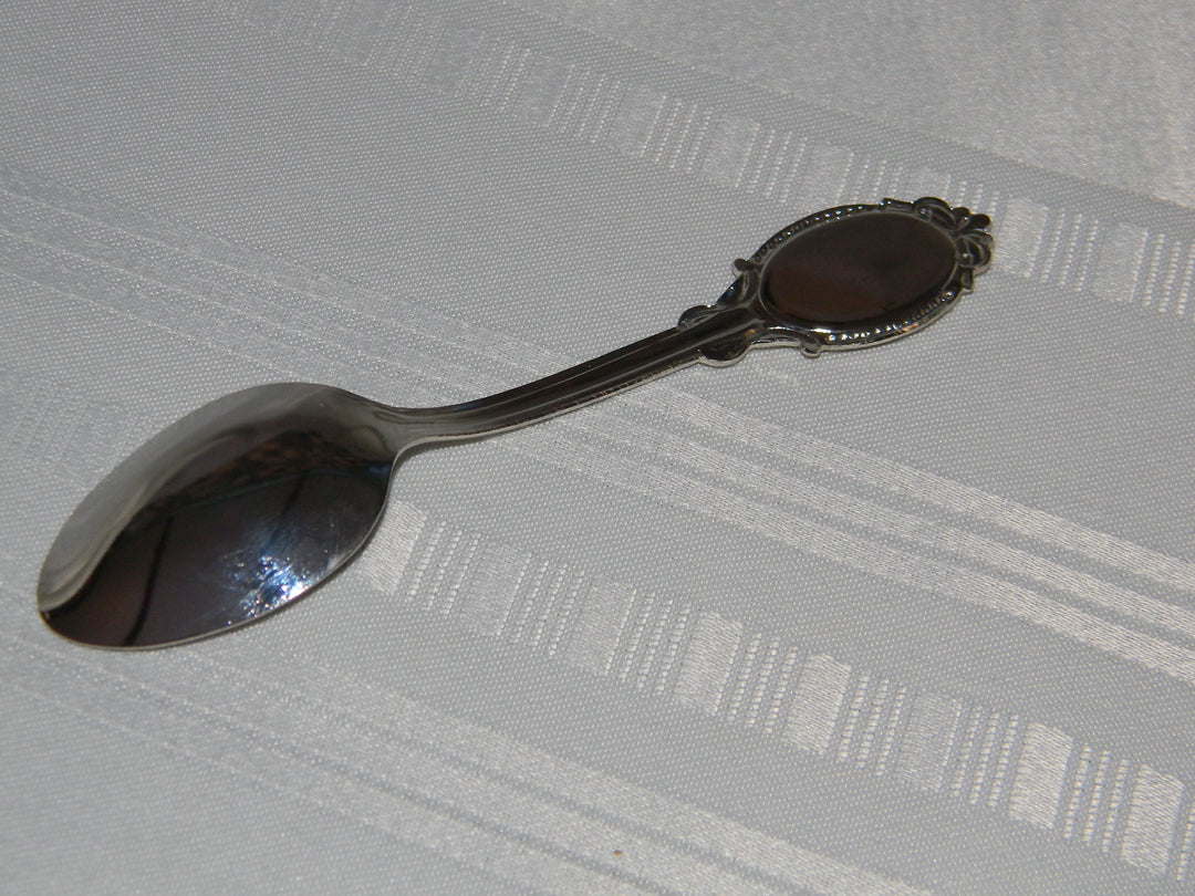 j695 Preowned Stainless Steel Collector Spoon from Texas -Blue Bonnet