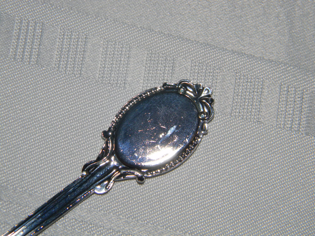j695 Preowned Stainless Steel Collector Spoon from Texas -Blue Bonnet