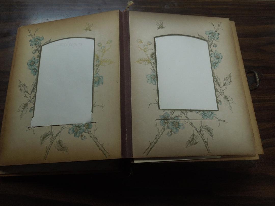 q942 Antique Victorian Celluloid Photo graph Album with Music Box