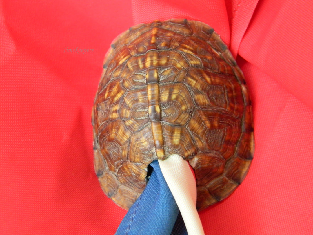 j947 BSA Neckerchief 1950 2nd National Jamboree with Turtle Shell Slide