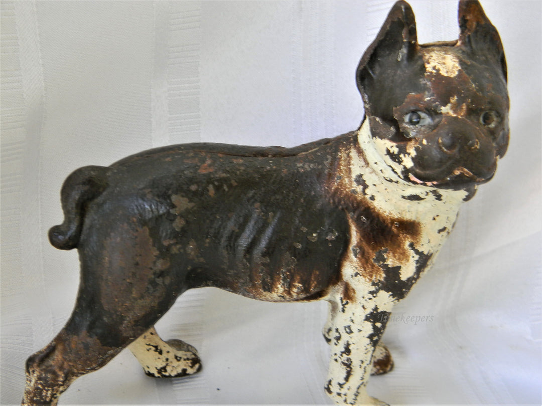 j286 Vintage Cast Iron Brown &amp; White Boston Terrier Dog Still Bank