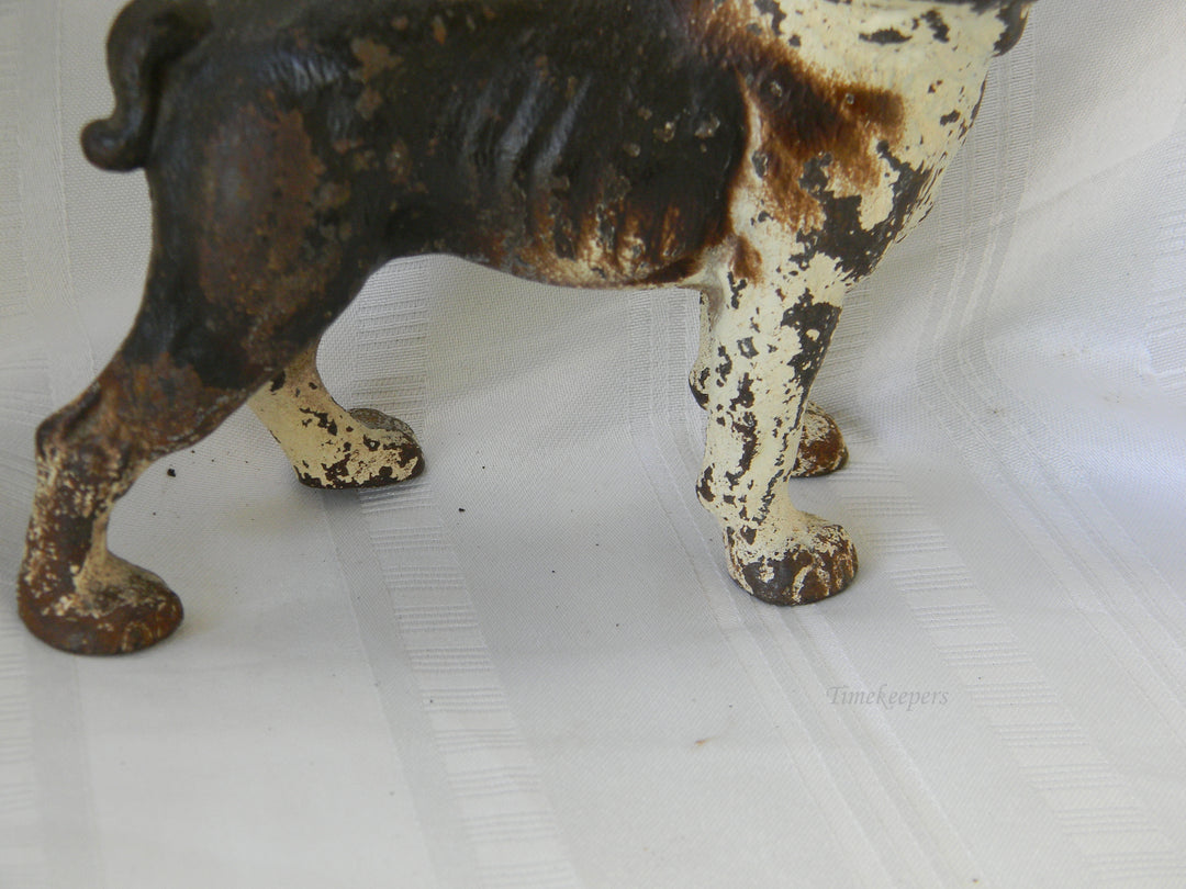 j286 Vintage Cast Iron Brown &amp; White Boston Terrier Dog Still Bank