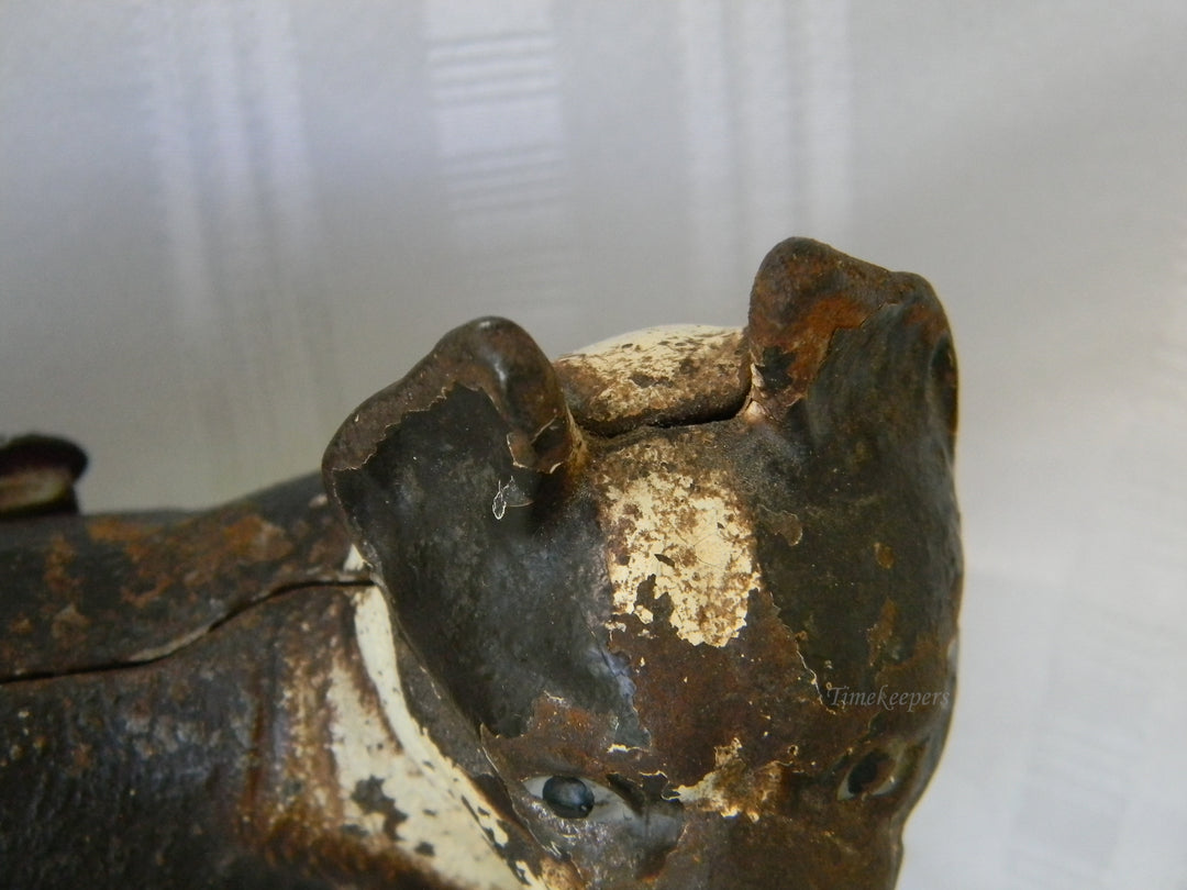 j286 Vintage Cast Iron Brown &amp; White Boston Terrier Dog Still Bank