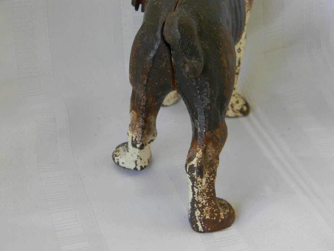 j286 Vintage Cast Iron Brown &amp; White Boston Terrier Dog Still Bank