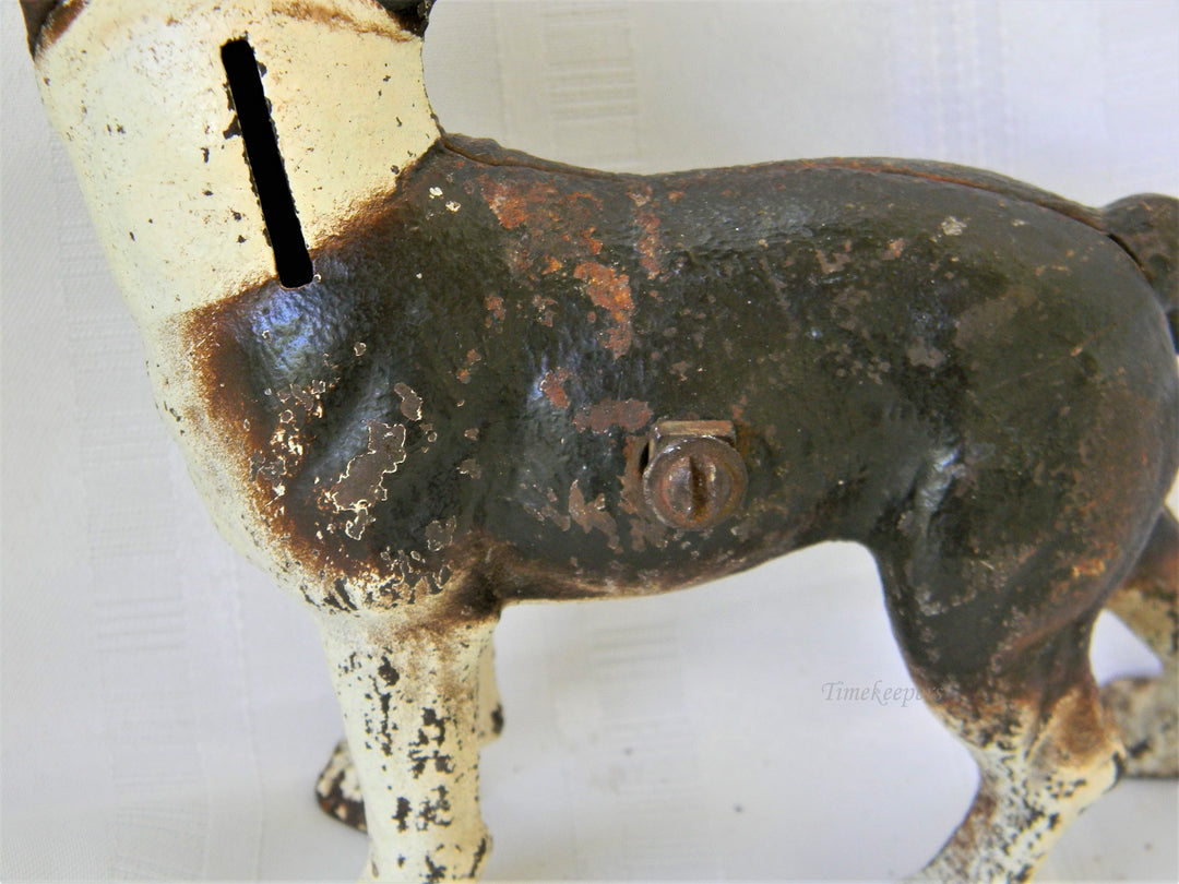 j286 Vintage Cast Iron Brown &amp; White Boston Terrier Dog Still Bank