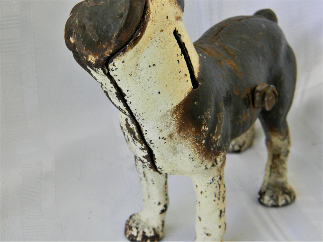 j286 Vintage Cast Iron Brown &amp; White Boston Terrier Dog Still Bank