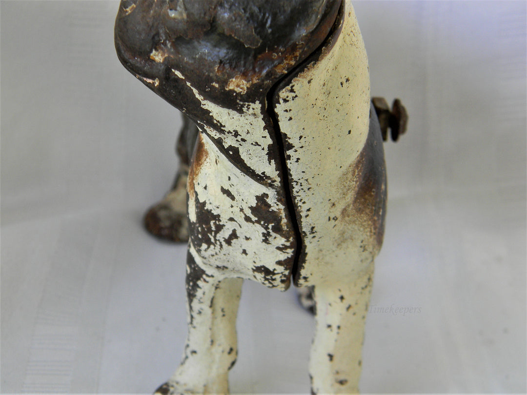 j286 Vintage Cast Iron Brown &amp; White Boston Terrier Dog Still Bank