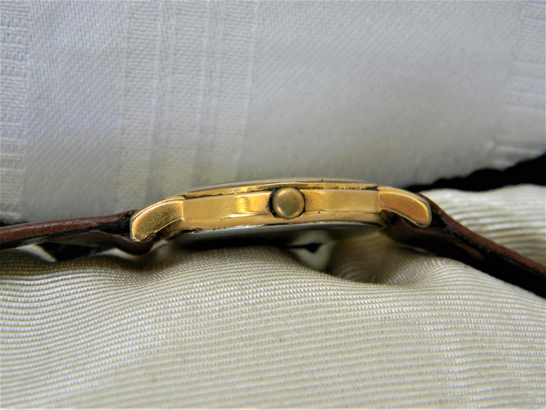 j376 Nice Elegant Casual Delma Swiss Made Watch with Brown Band