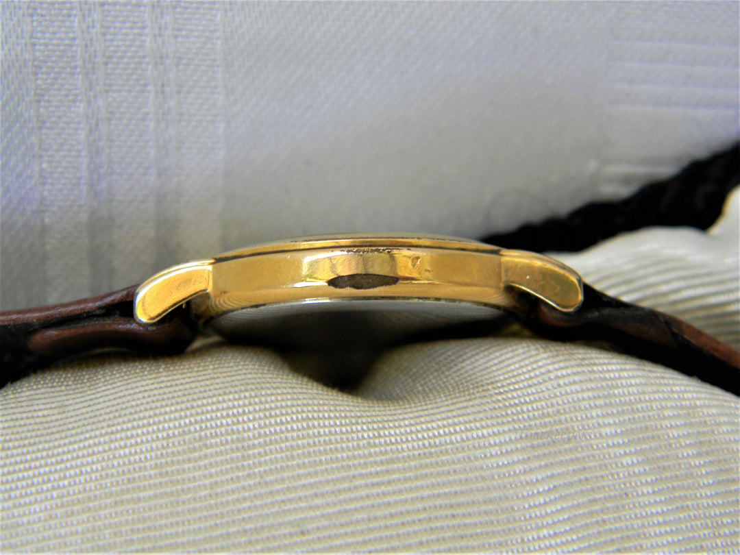 j376 Nice Elegant Casual Delma Swiss Made Watch with Brown Band