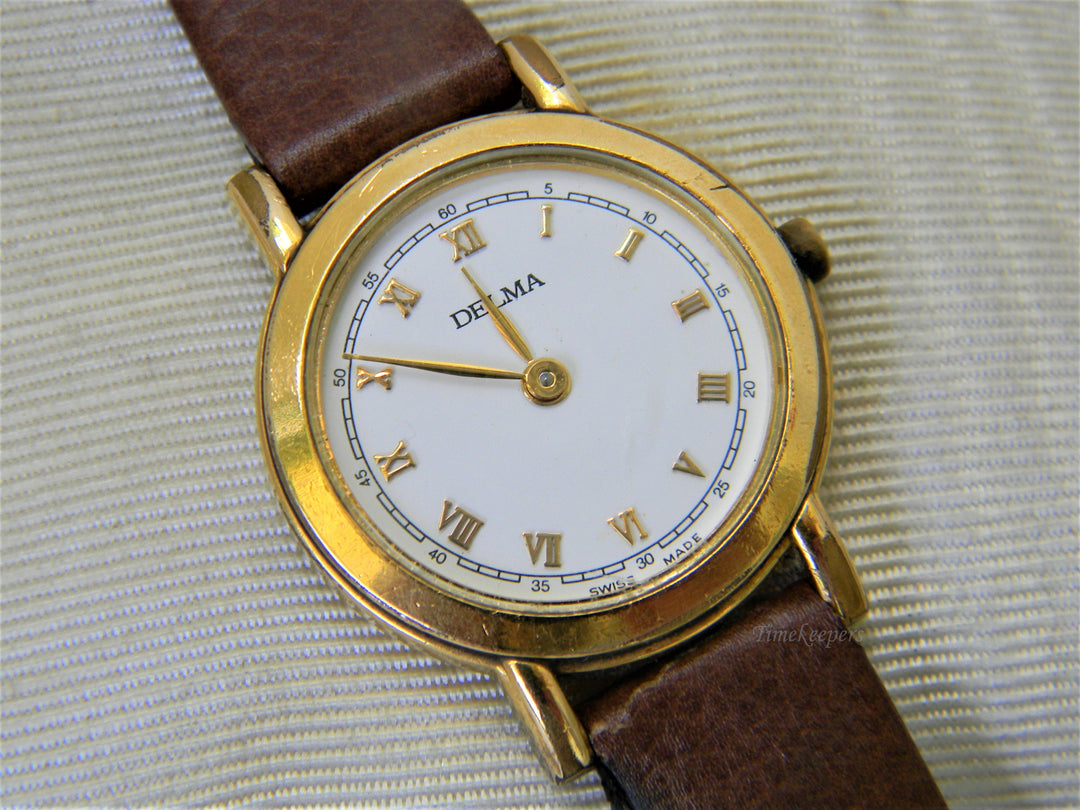 j376 Nice Elegant Casual Delma Swiss Made Watch with Brown Band
