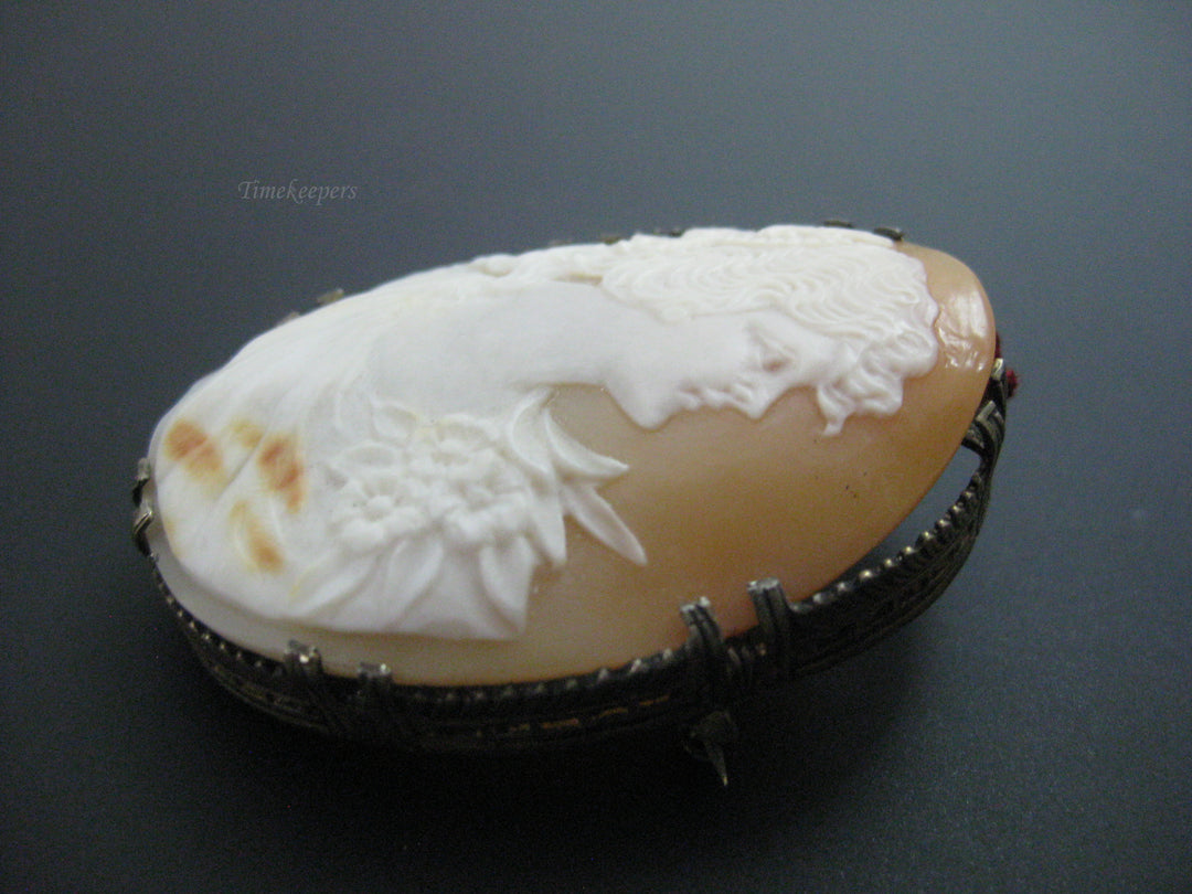 g283 Beautiful Cameo Brooch with a Delicate Gold Toned Setting