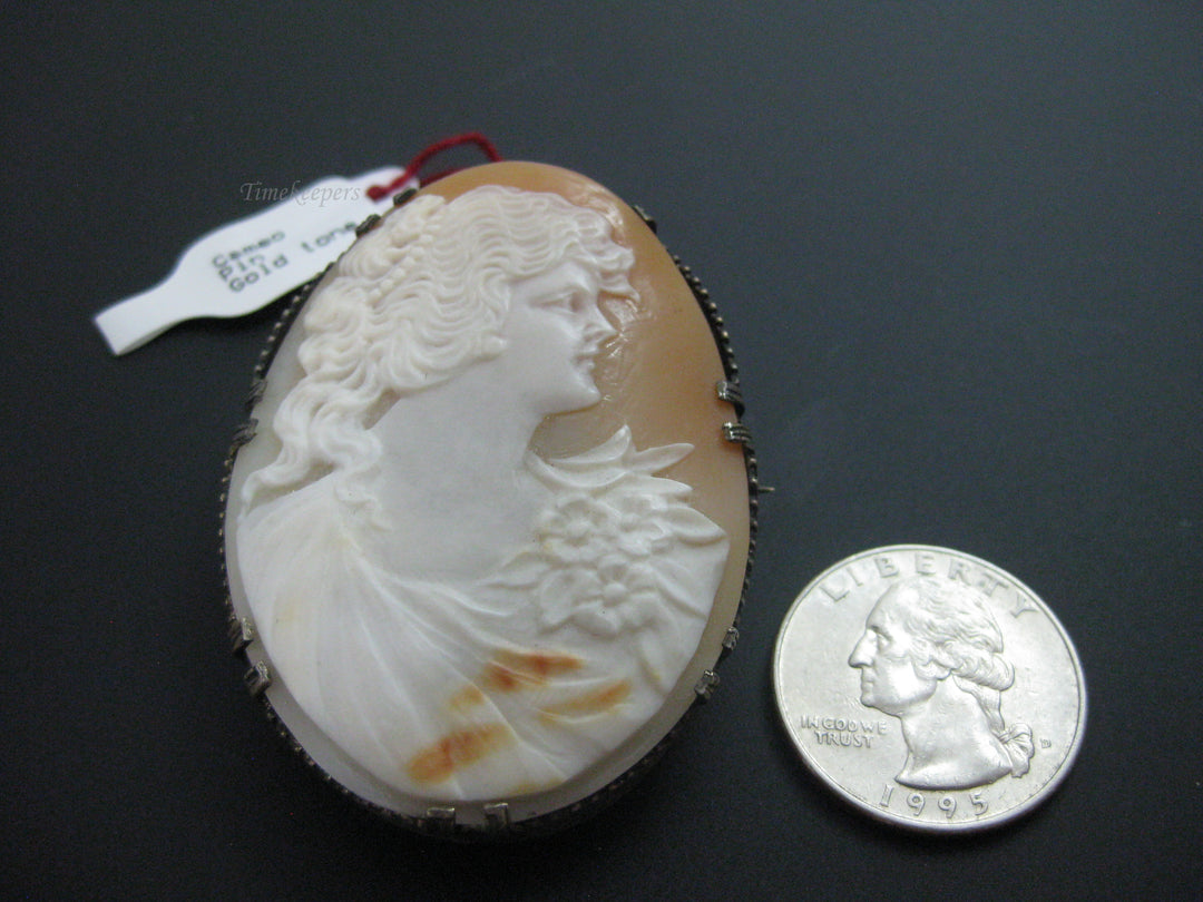 g283 Beautiful Cameo Brooch with a Delicate Gold Toned Setting