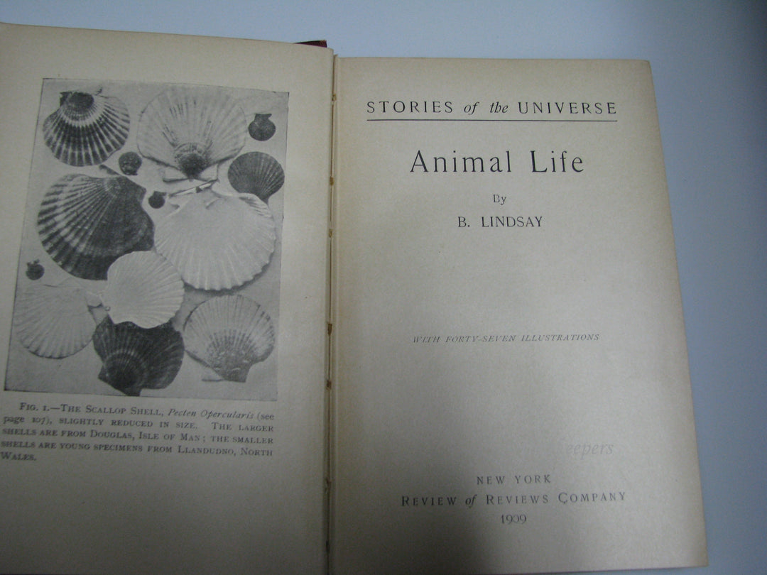 j071 Vintage Book 1909 Stories of the Universe Animal Life by B. Lindsay