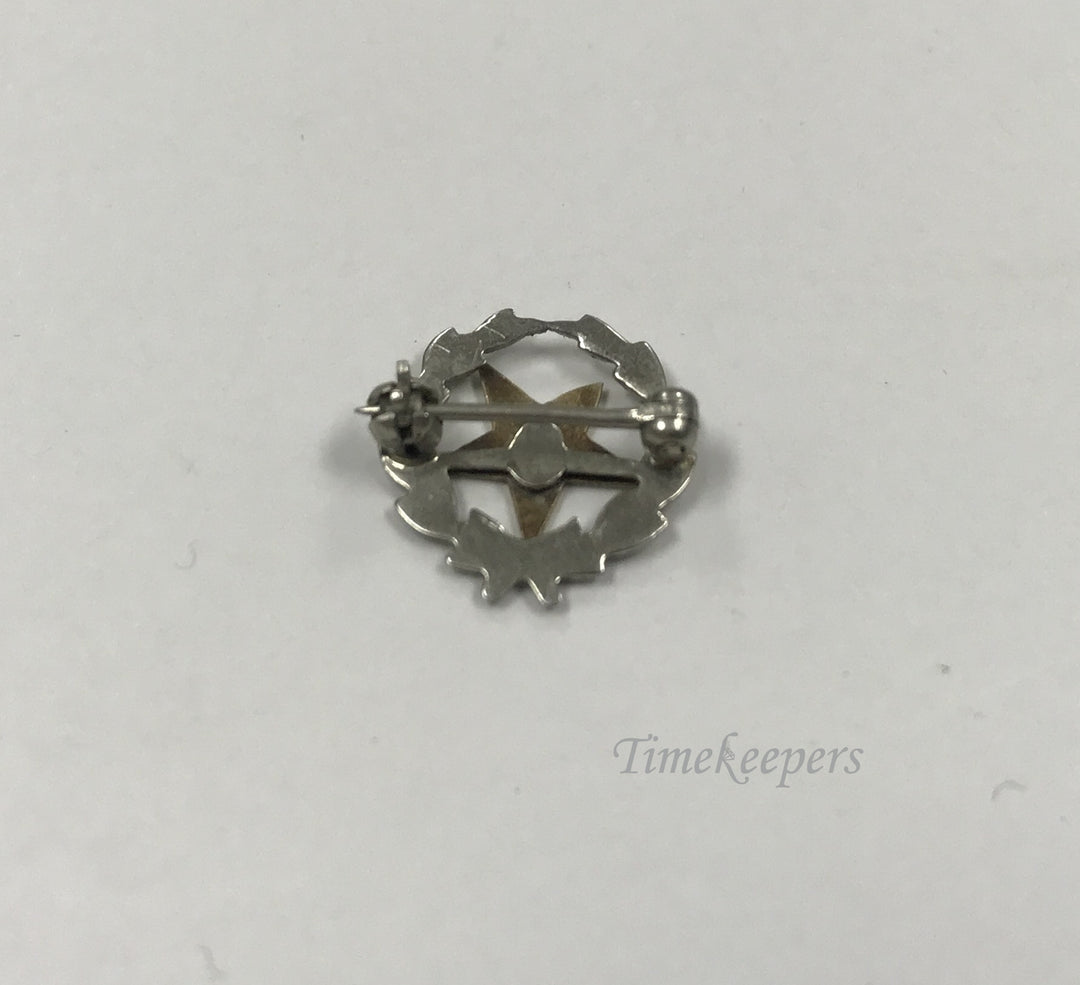 d259 Vintage Enameled 10k White Gold Eastern Star Lapel Pin Brooch