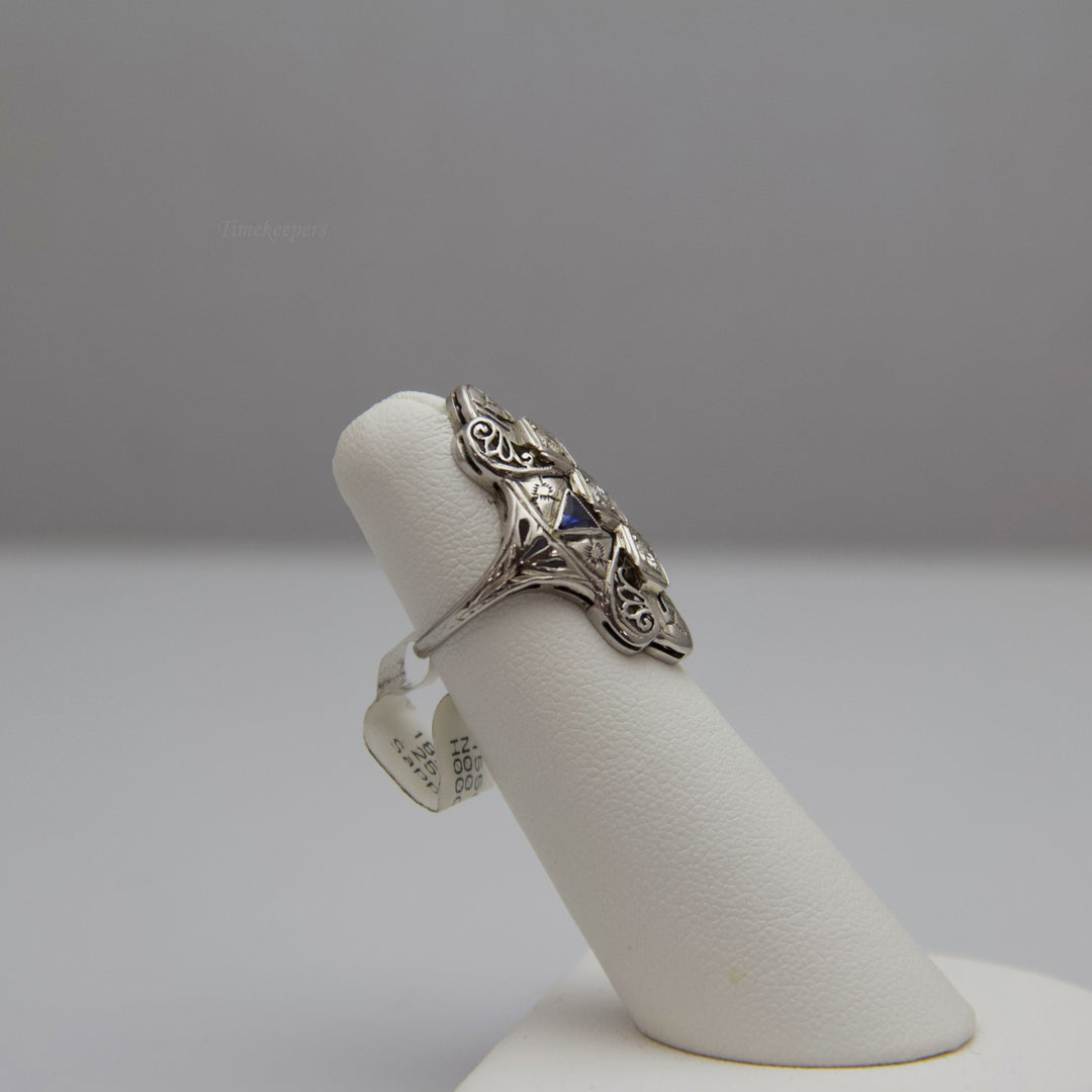 d642 Fancy 18k White Gold Diamond &amp; Sapphire Ring