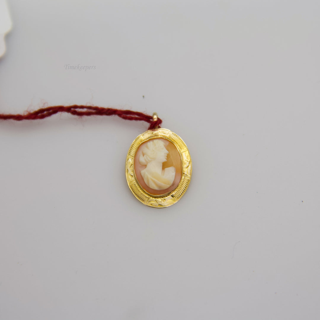 d753 Pretty Gold Filled Cameo Pendant