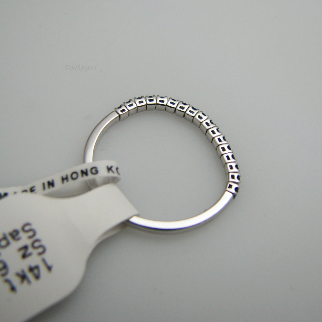 d879 14k White Gold Sapphire Ring