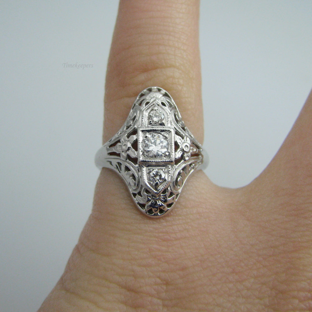 d970 Elegant 14k White Gold Diamond Ring