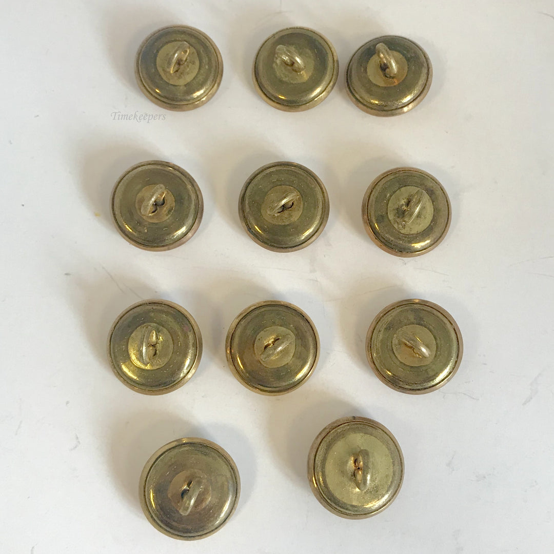 f178 Antique Metal Buttons Gold Tone Crown Logo Set of 11