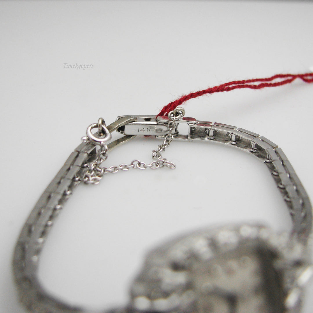 g123 Pretty 14k White Gold Women's Diamond Hamilton Watch