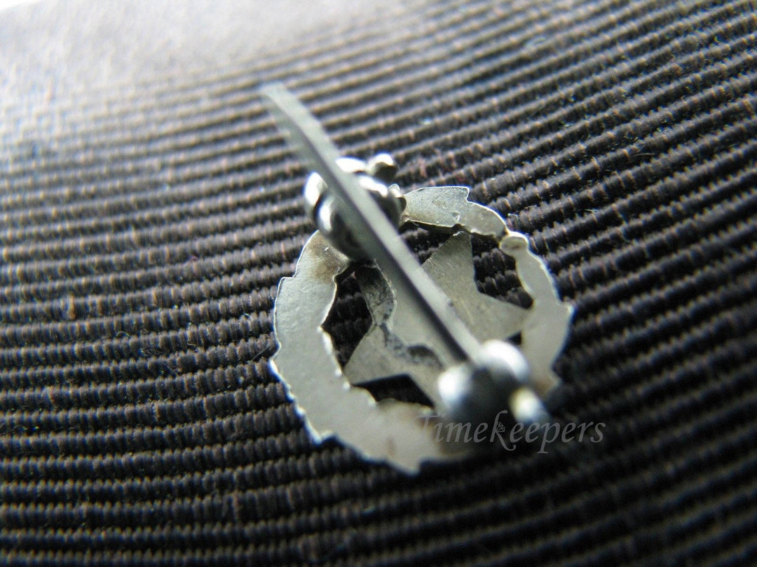 c069 Enameled 10k Gold Eastern Star Lapel Pin