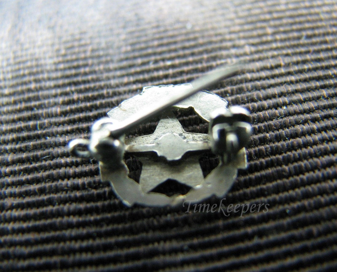 c069 Enameled 10k Gold Eastern Star Lapel Pin