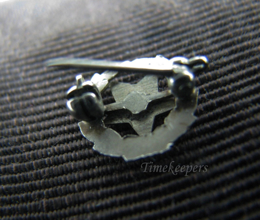 c069 Enameled 10k Gold Eastern Star Lapel Pin