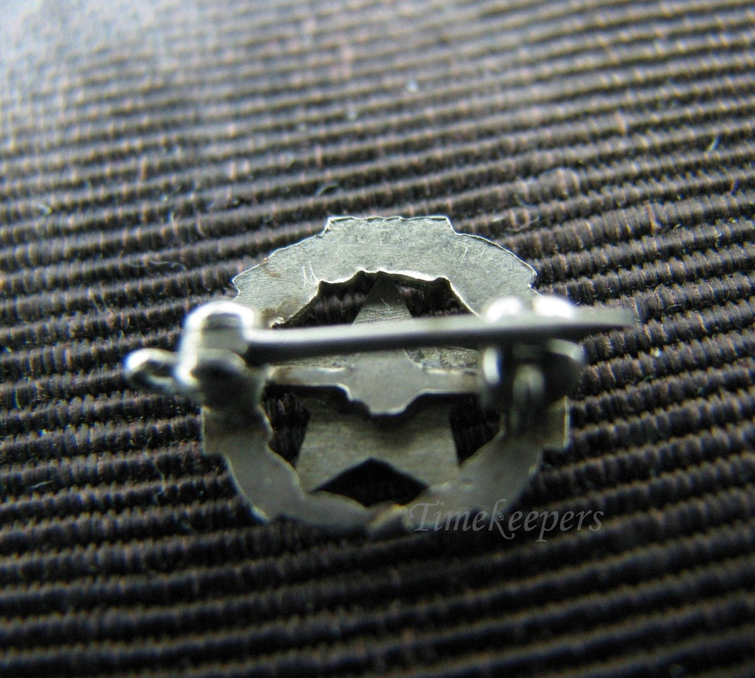 c069 Enameled 10k Gold Eastern Star Lapel Pin