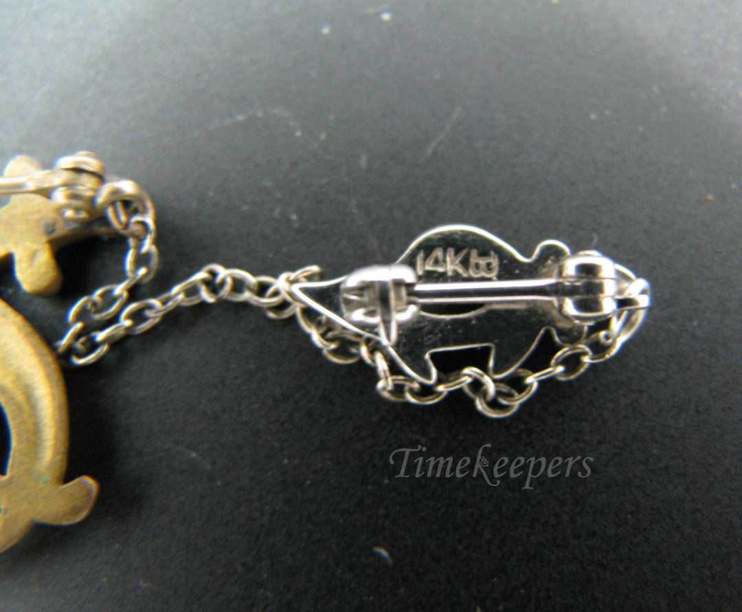 b083 Daughters of the Nile Pin with Shriners Pin