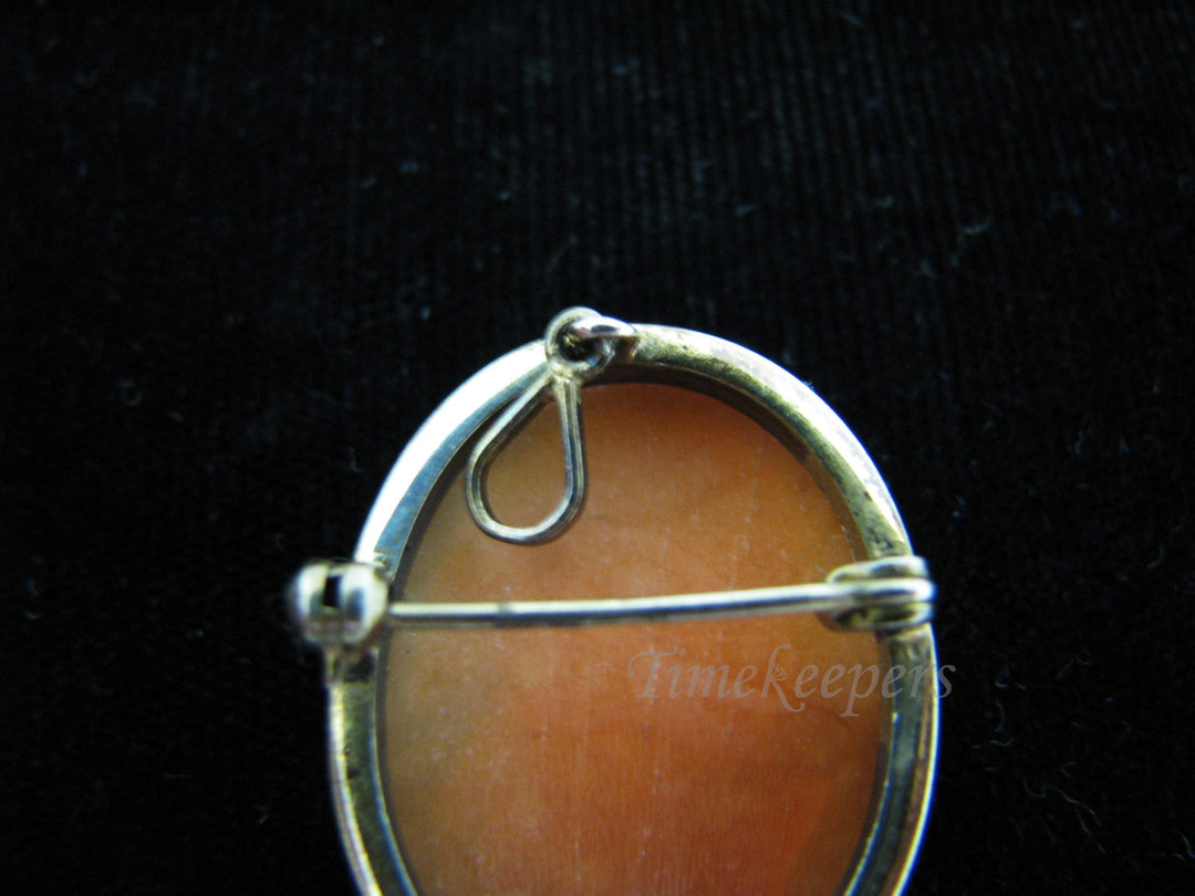 c599 Gorgeous Vintage Convertible Cameo Brooch/ Pendant in a Gold Filled Mounting