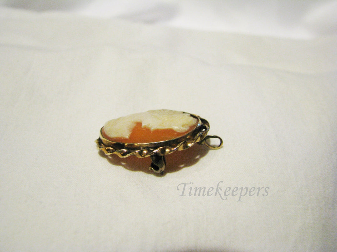 c210 Vintage Cameo in Yellow Gold Filled Setting Convertible Brooch or Pendant